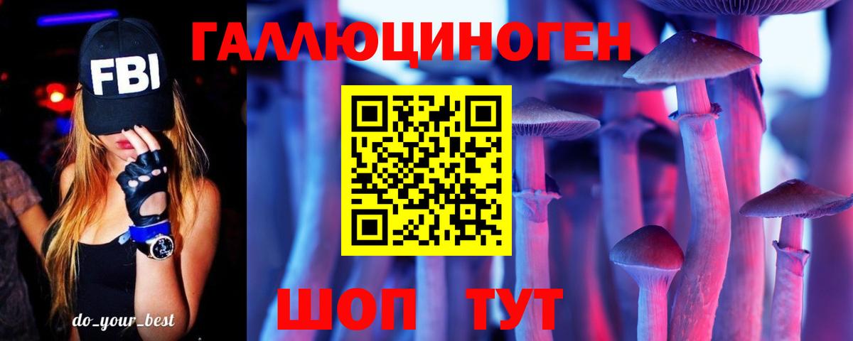 Галлюциногенные грибы Psilocybe Новочебоксарск
